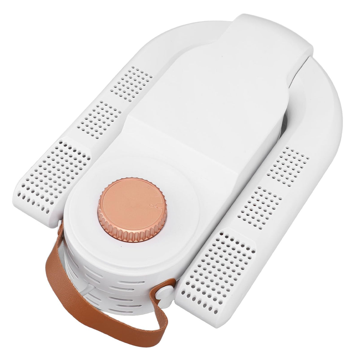 Electric shoe dryer