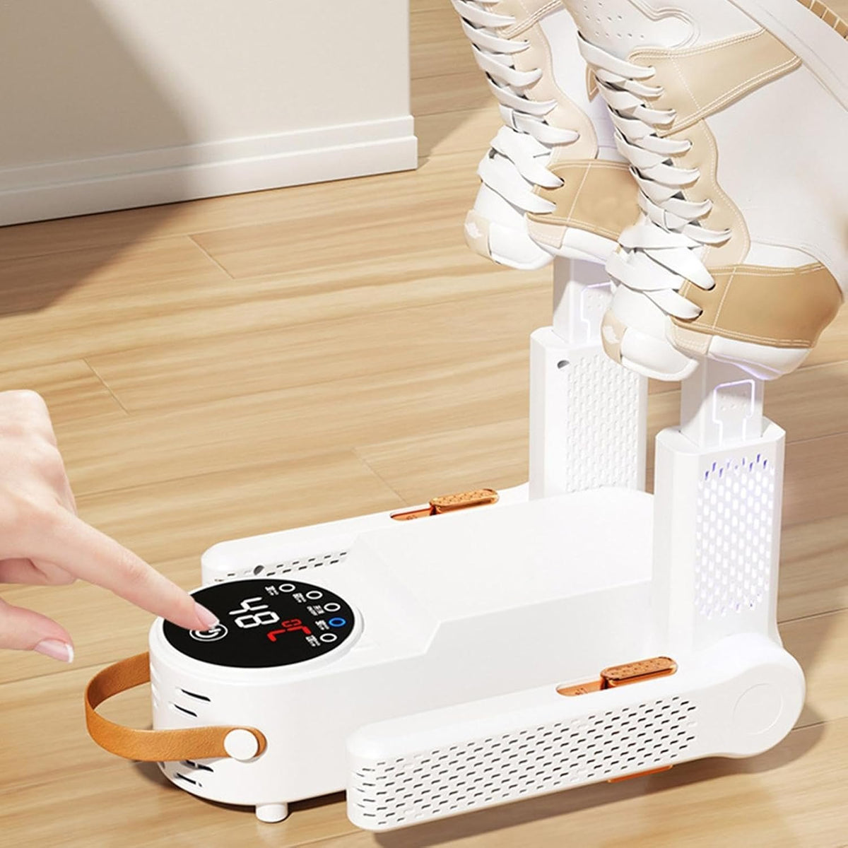 Electric shoe dryer