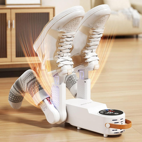 Electric shoe dryer